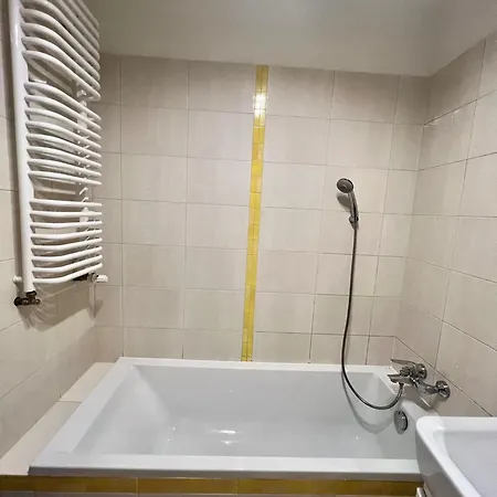 Apartament Polonijna Апартаменты