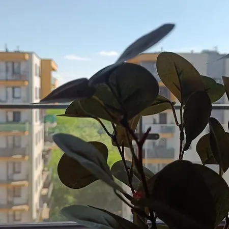 Apartament Polonijna Апартаменты